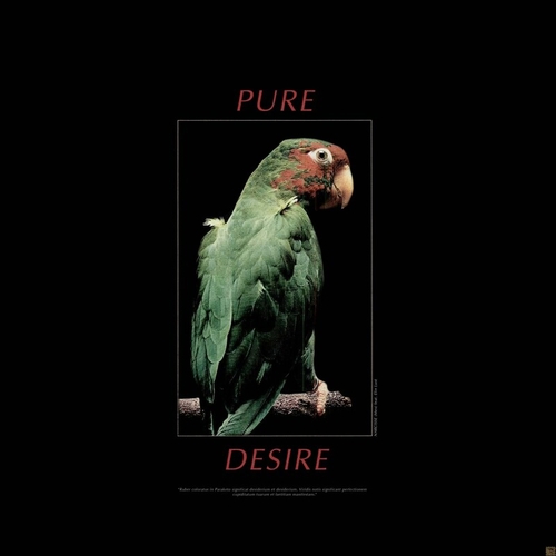 Narcisse (Mex) - Pure Desire [0002]
